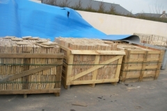 SANY0157-1